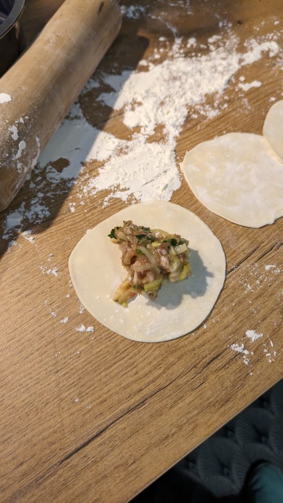 Delicious Homemade Momo Recipe: A Flavorful Guide to Nepalese Dumplings,Nepali Dumplings/ Momos recipe, food blog , recipe vegetable recipes, food ideas, saru's diary, saru's not so secret diary, dumpling recipes, dumplings, dumpling, asian food,