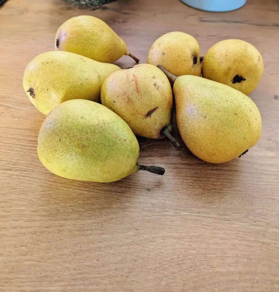 Easy and Delicious Homemade Pear Crumble Recipe, Saru's diary, Saru's not so secret diary, homemade easy recipes, autumn baking recipes, food recipes, pear, pear crumble, crumble recipes