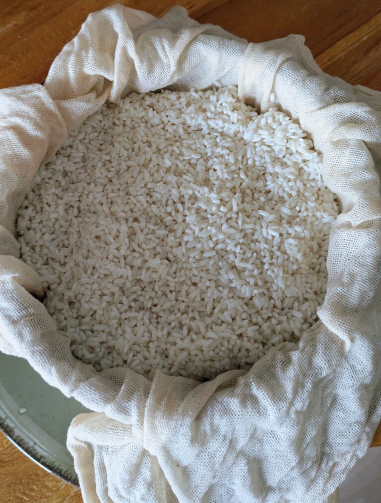 Easy Mango Sticky Rice Recipe - Saru's not so secret Diary