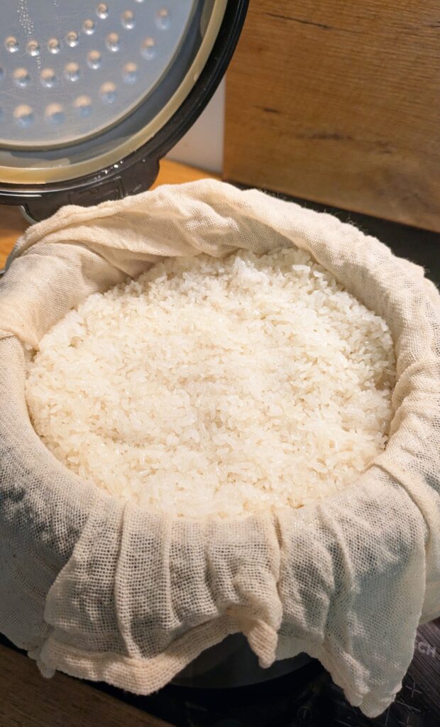 Mango sticky rice, easy mango sticky rice, asian dessert recipe, food recipe, sticky rice recipe, Vietnamese sticky rice recipe, food around the world, saru's diary, saru's not so secret diary