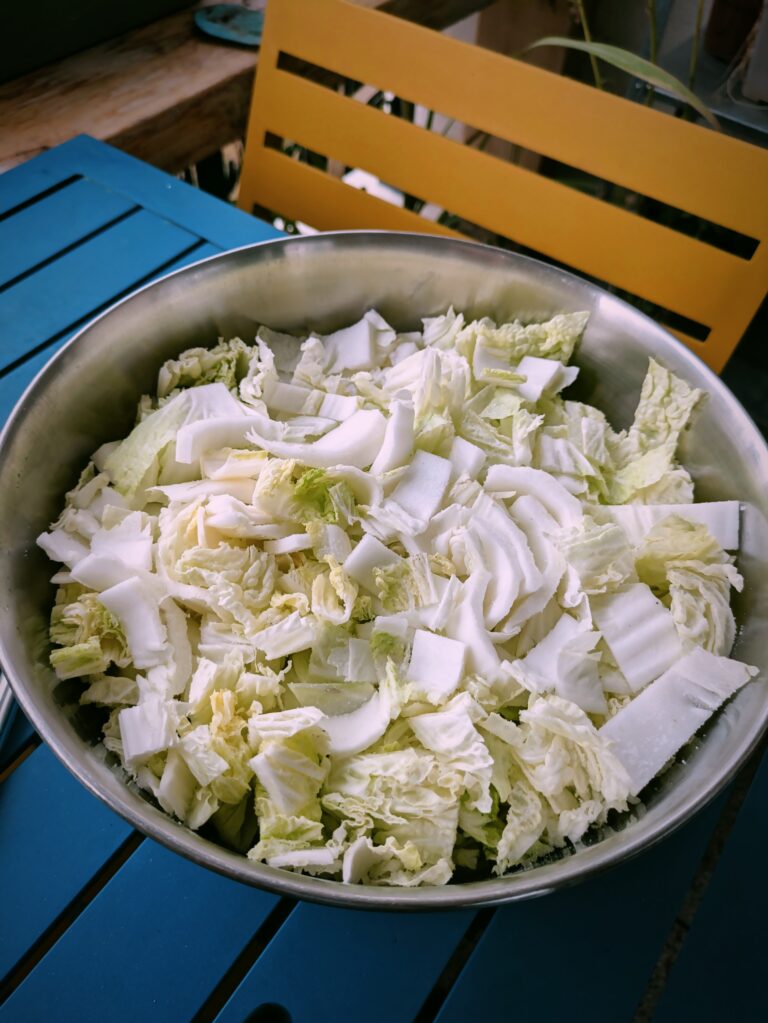 My Go-To Kimchi Recipe – Simple, Flavorful, Adapted for Everyday Cooking, kimchi, kimchi recipe, fermented food, fermenting recipe, saru's diary, saru's not so secret diary