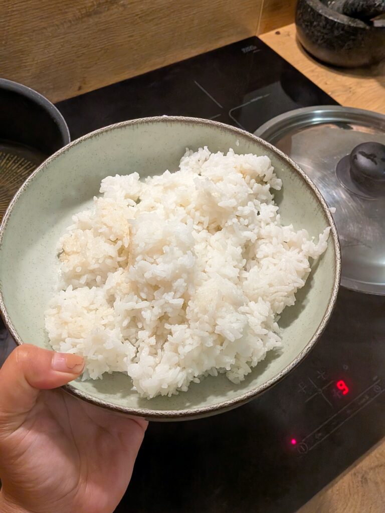 Oyakodon (Japanese Chicken and Egg Rice Bowl) – A Comfort Dish from Japan, oyakudon, Japanese food recipes, quick and easy meal ideas, food ideas, food blog, food blogger, saru's diary, saru's not so secret diary