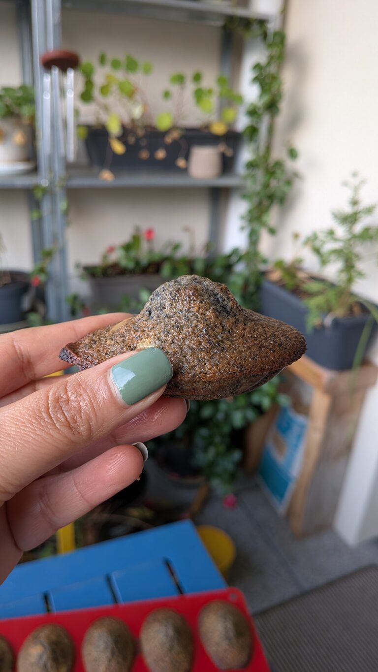 Black Sesame Madeleines with Lime and Almond Flakes,