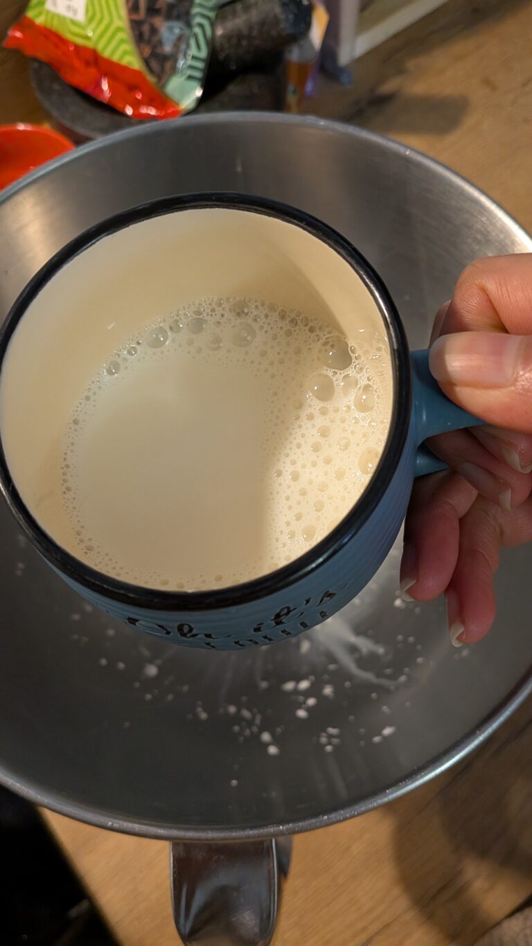 Galette des Rois Briochée (Gâteau des Rois) – French Epiphany Brioche, sauras not so secret diary, brioche des rois recipe, French classic galette des rois recipe, French traditional galette, French traditional brioche, galette, saru's diary, saru's not so secret diary, French recipes , French baking, baking recipes, French desserts, classic French dessert